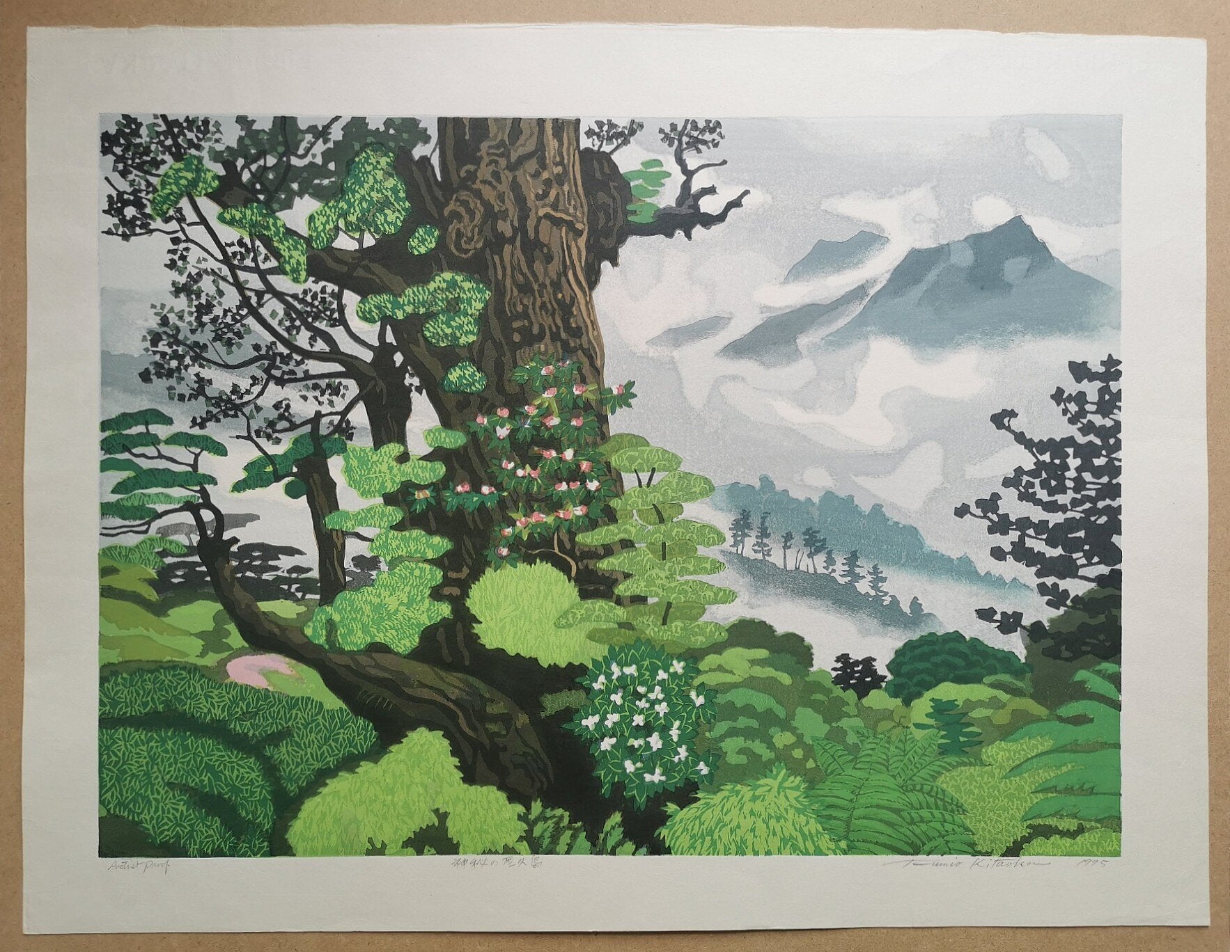 Fumio Kitaoka - 神秘の屋久島 (Mysterious Yakushima Island)