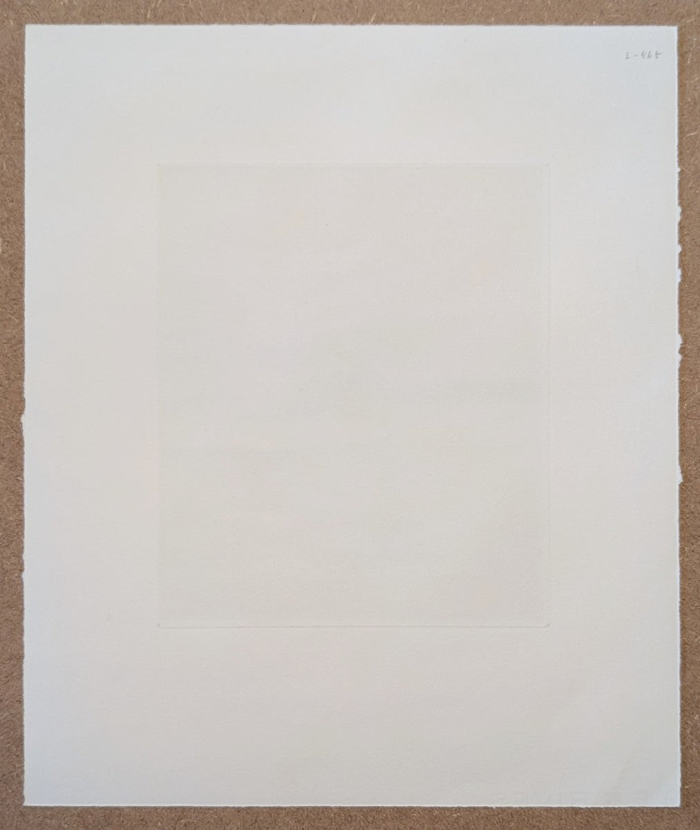 Kaoru Saito - 風の忘れもの (A Memory Left by the Wind)