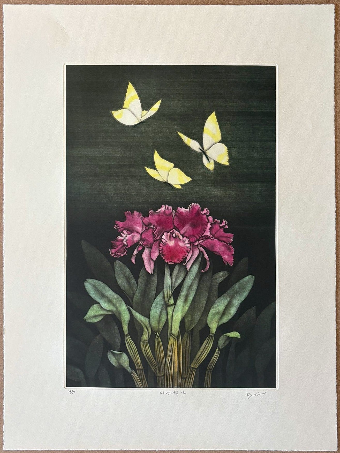 Kaoru Saito - カトレアと蝶 (Cattleya and Butterflies)