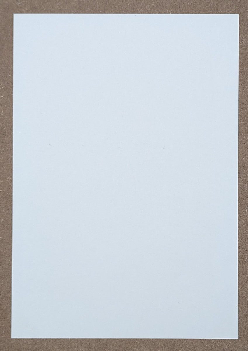 Koh Sekiguchi - 秋色の中 (Amidst Autumn Colours)