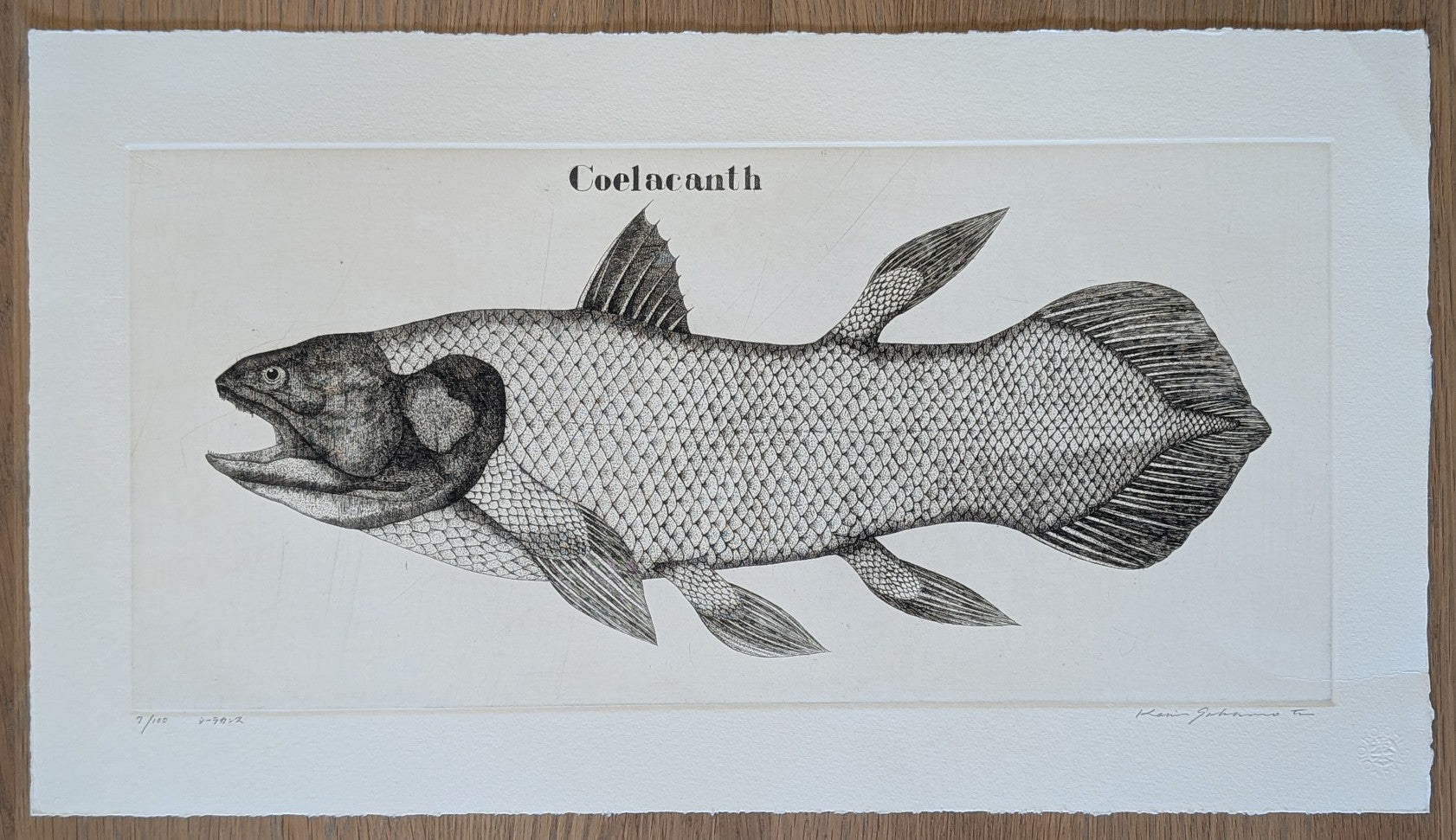 Koichi Sakamoto - シーラカンス (Coelacanth)