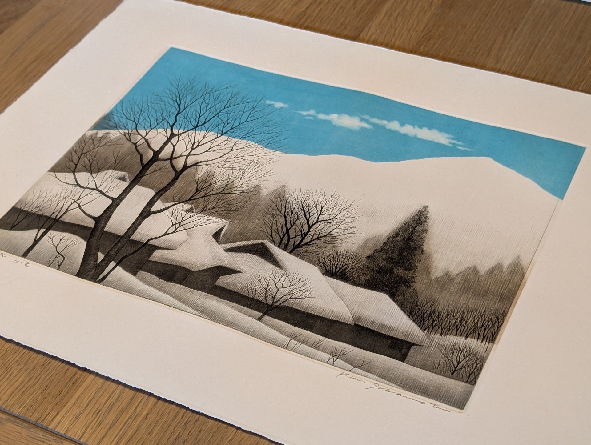 Koichi Sakamoto - 白い里 (White Countryside)