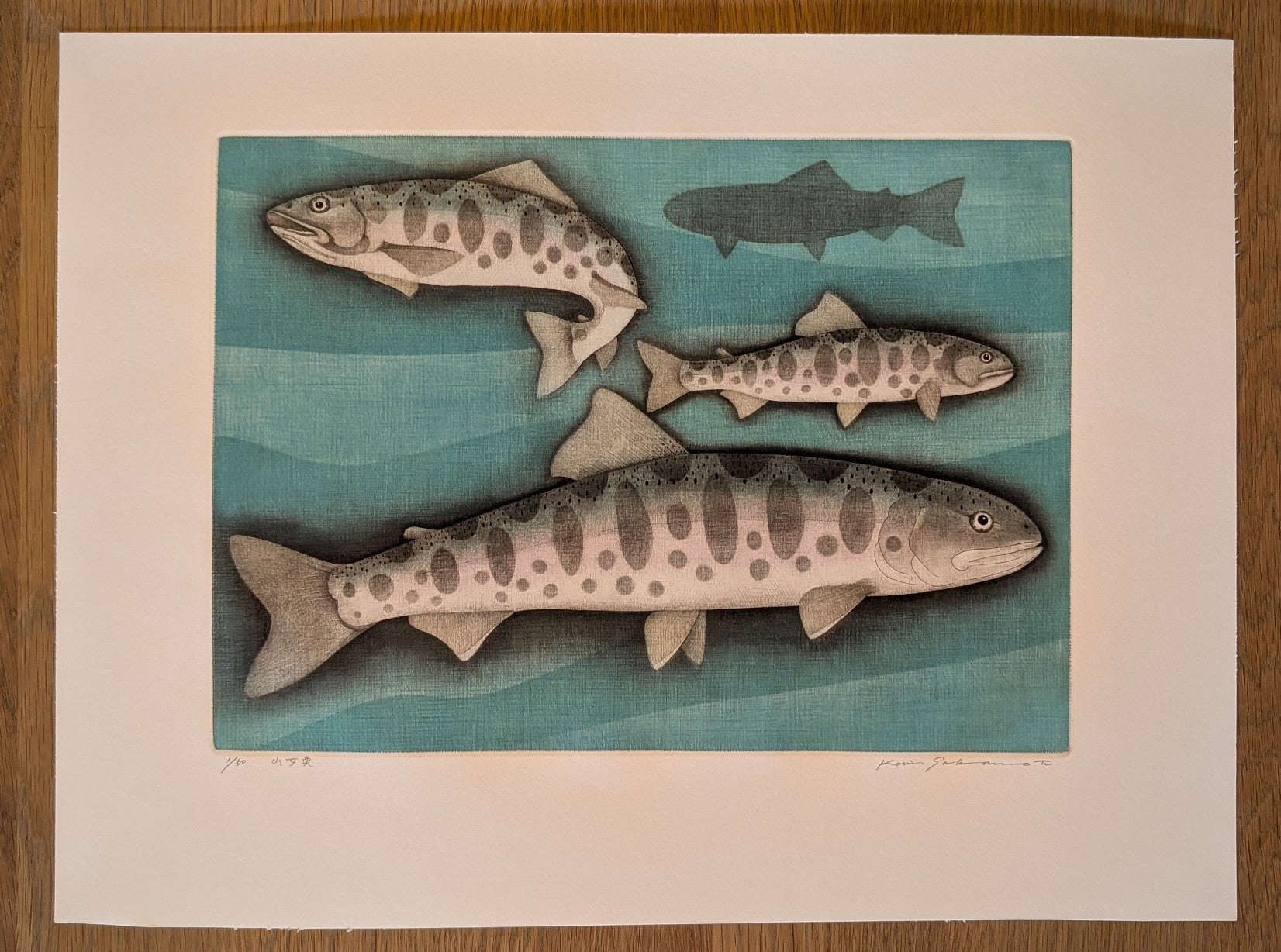 Koichi Sakamoto - 山女実 (Yamame Trout)