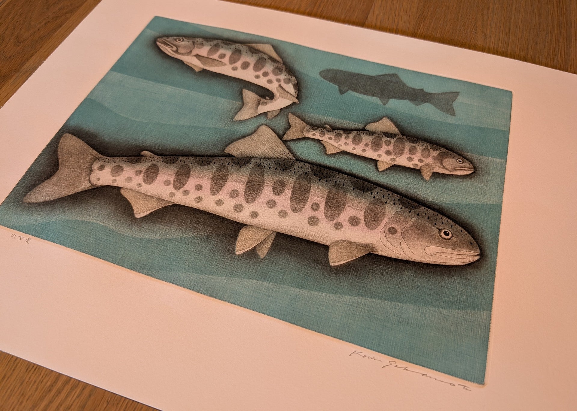 Koichi Sakamoto - 山女実 (Yamame Trout)