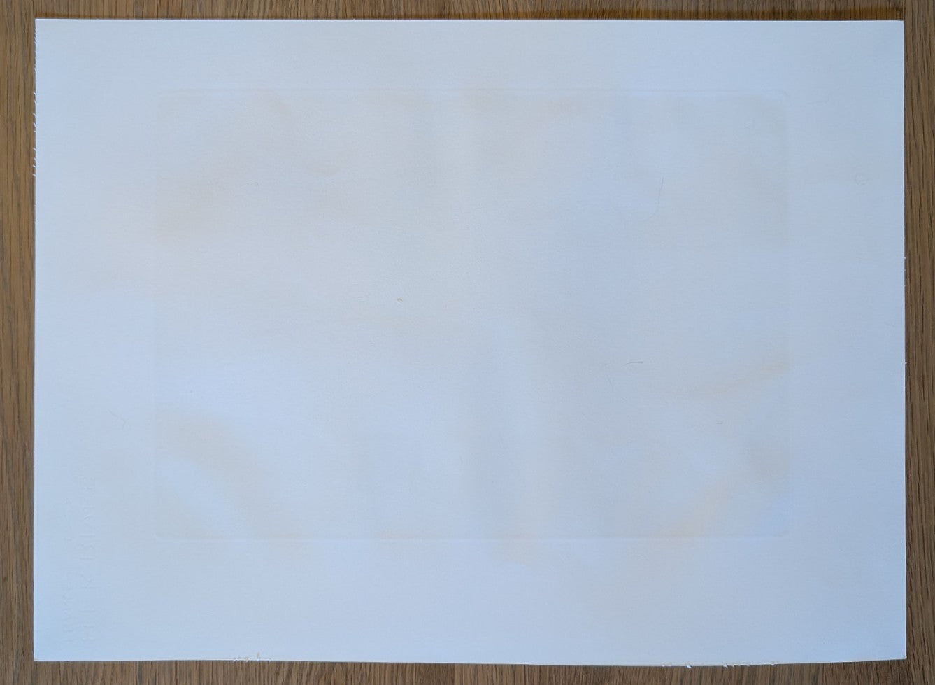 Koichi Sakamoto - 山女実 (Yamame Trout)