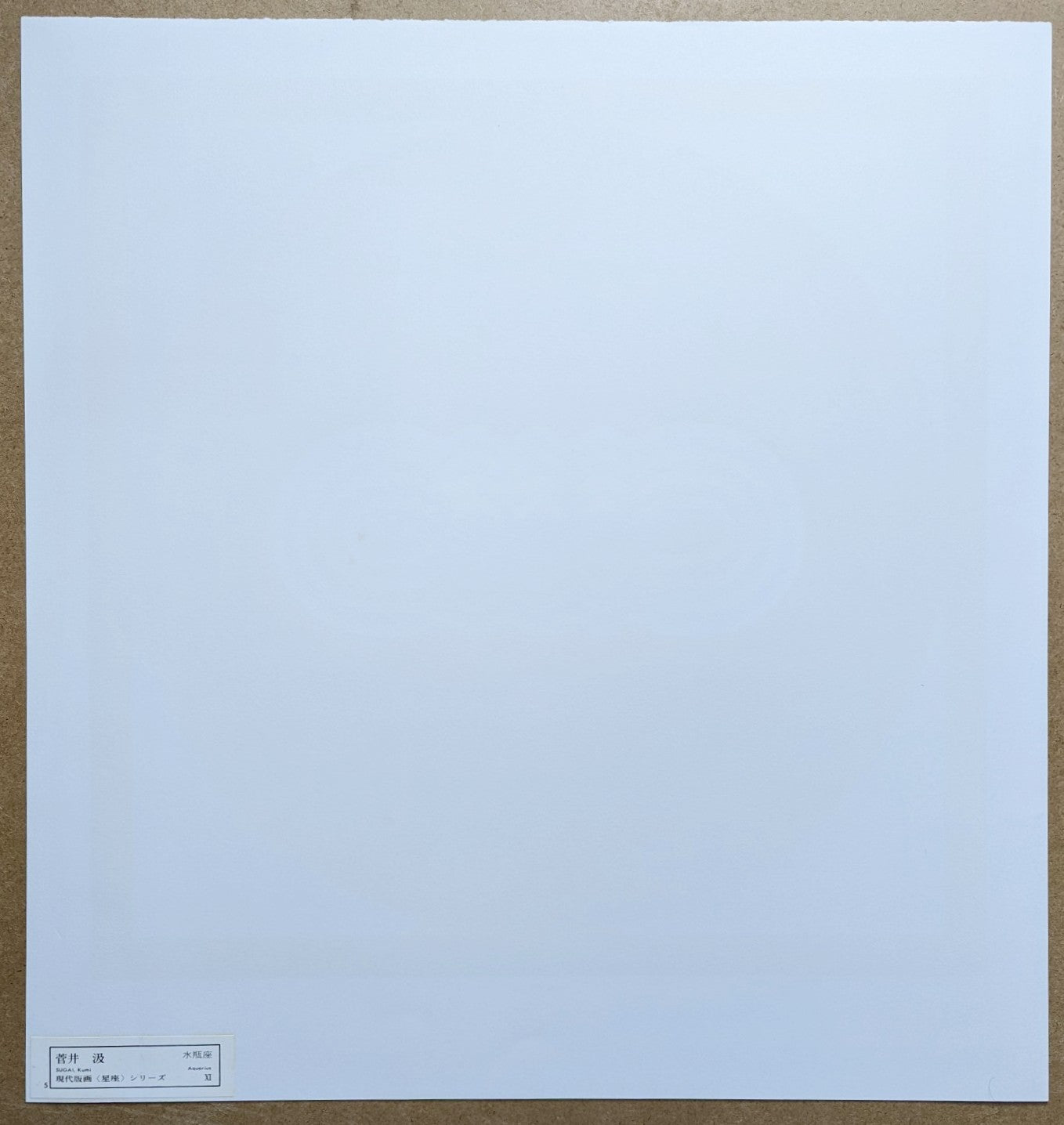 Kumi Sugai - 水瓶座 (Verseau)