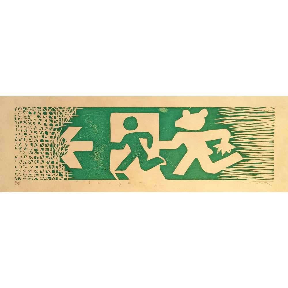 Misa Tsuchiya - danger