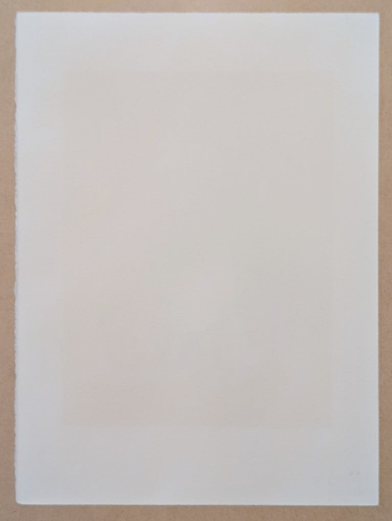 Ay-O - 猫 vs. 胡蝶 (Cat vs Butterfly)