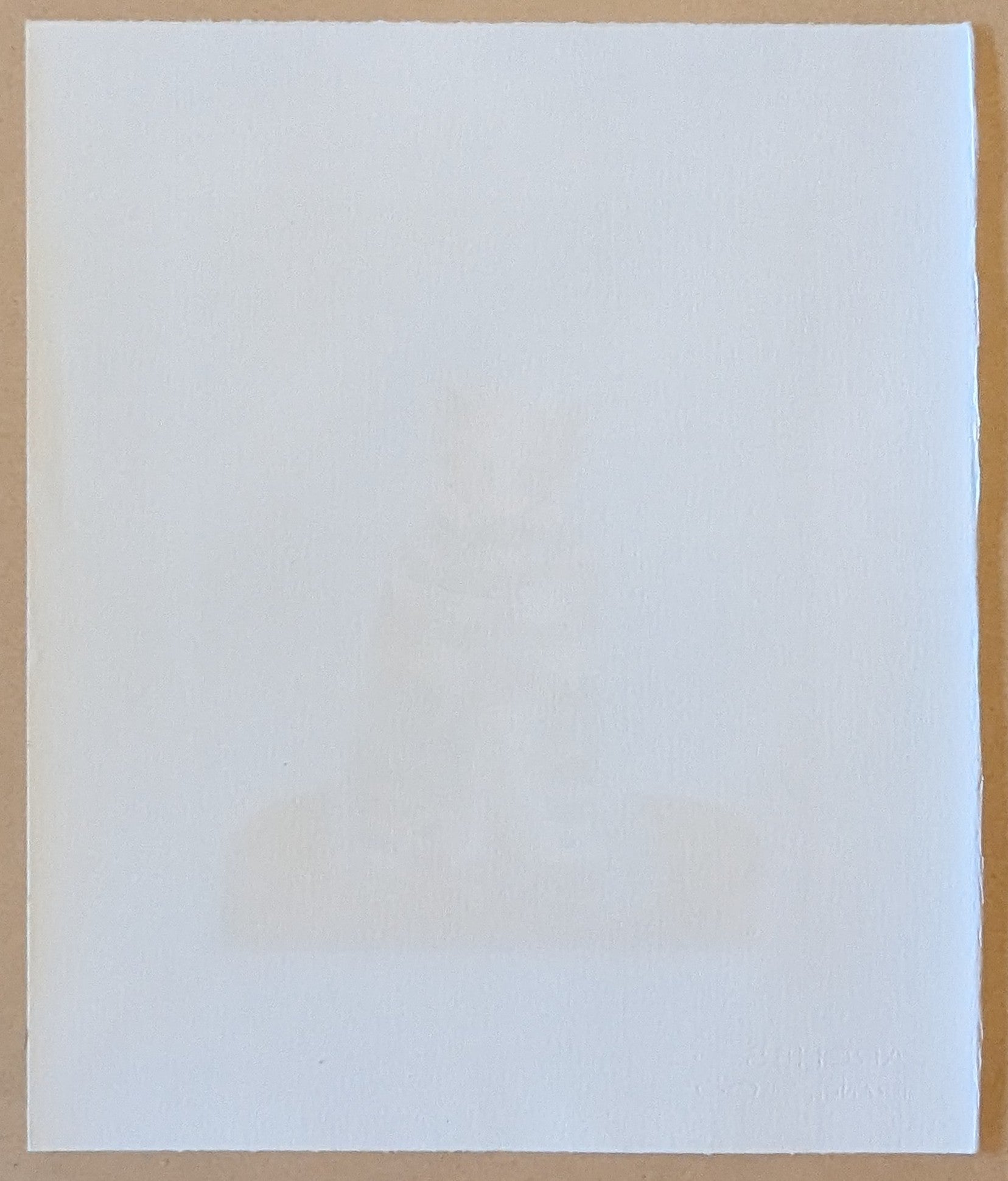 Ay-O - RAINBOW ROUSSEAUのピエール・ロティ氏の猫 (MIXバック) - (RAINBOW ROUSSEAU - Pierre Loti's Cat)