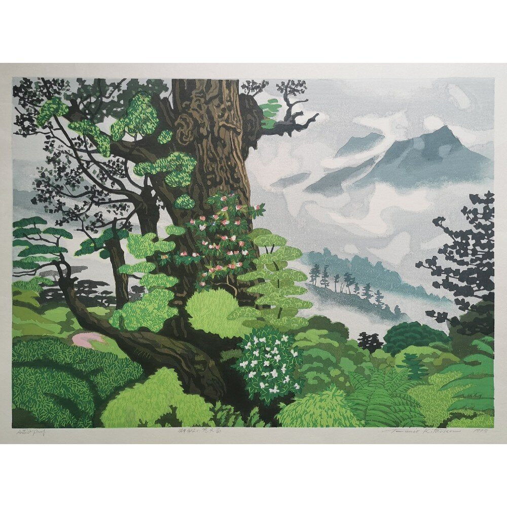 Fumio Kitaoka - 神秘の屋久島 (Mysterious Yakushima Island)