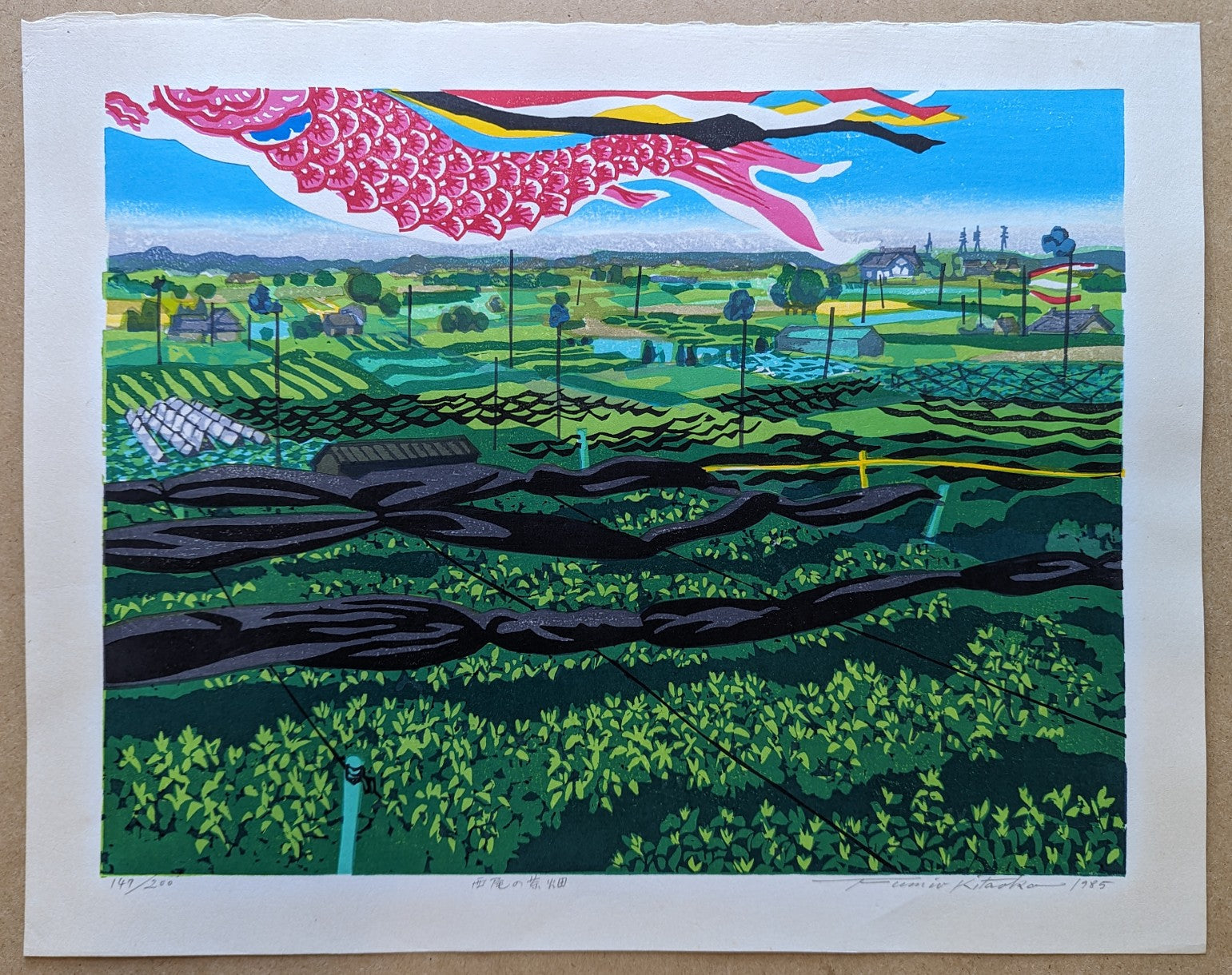 Fumio Kitaoka - 西尾の茶畑 (Nishio Tea Plantations)