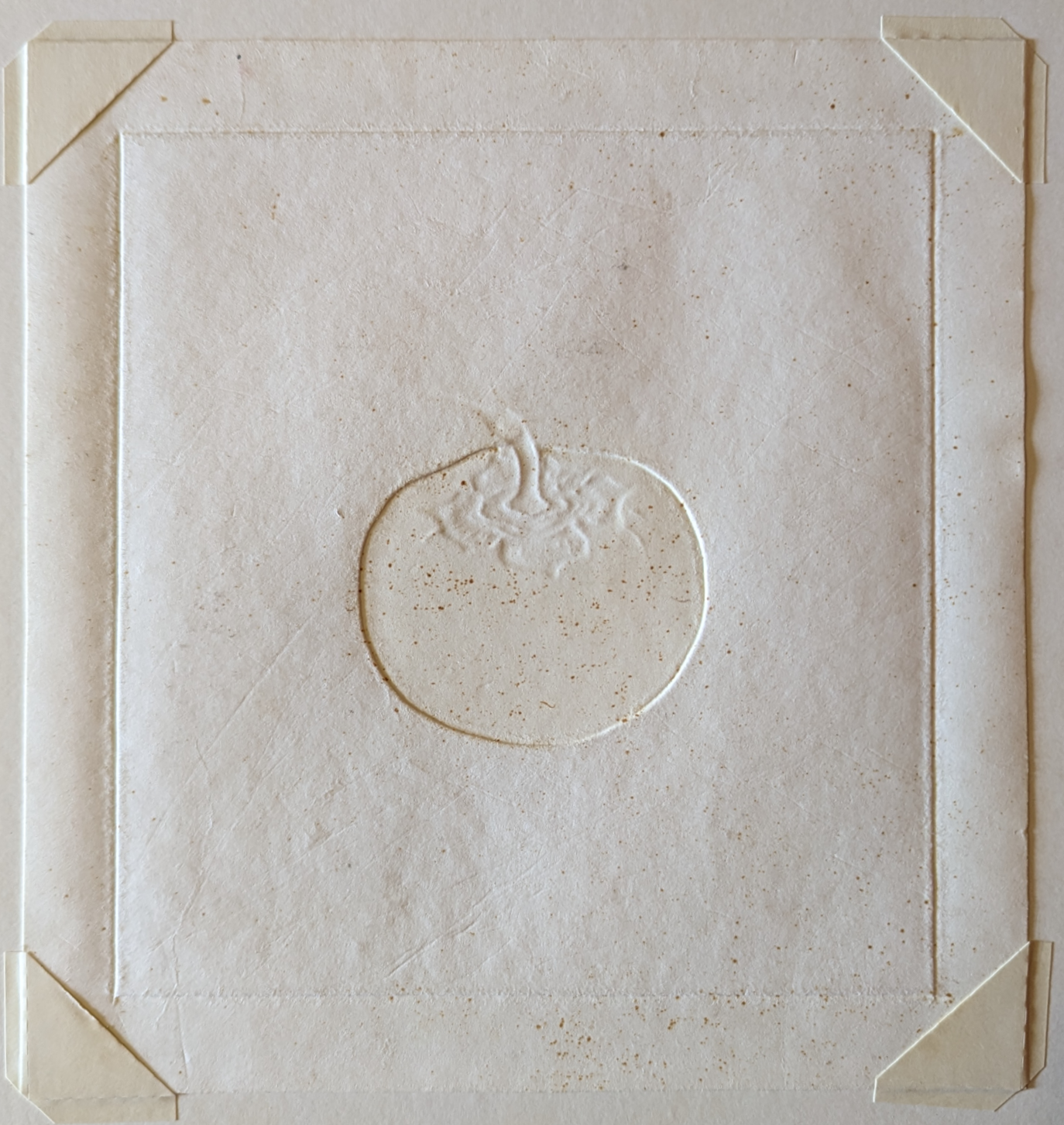 Haku Maki - Persimmon