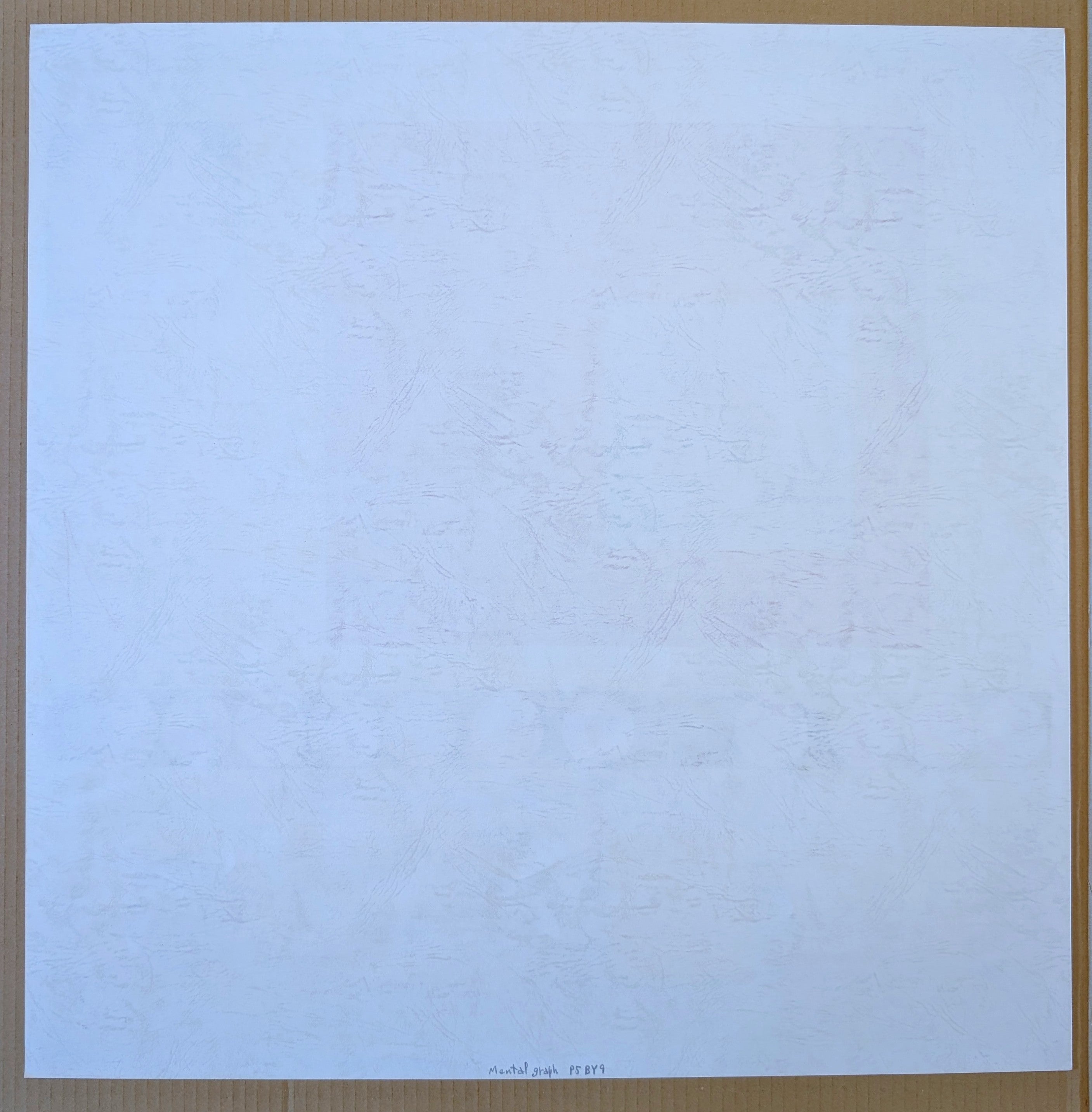 Haruo Inaba - Mental Graph P5 BY9
