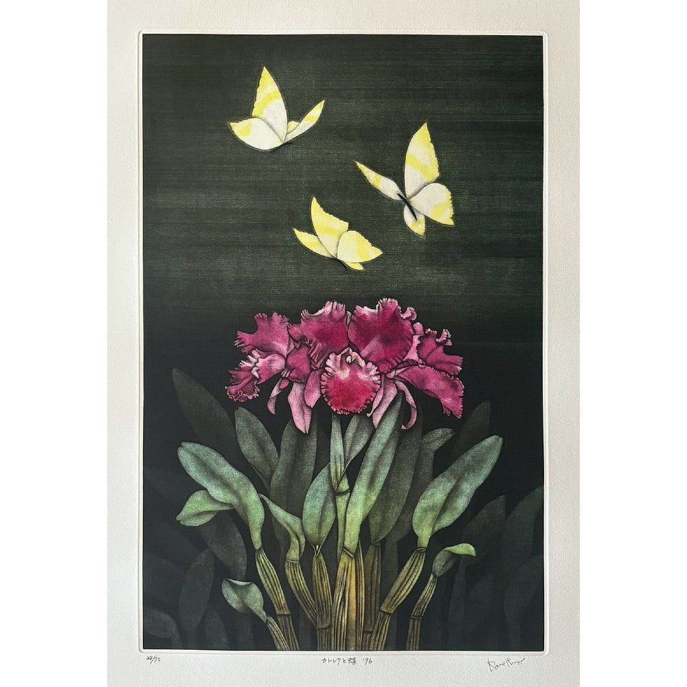 斎藤カオル Kaoru Saito | Master of Japanese Mezzotint | Kumo Arts