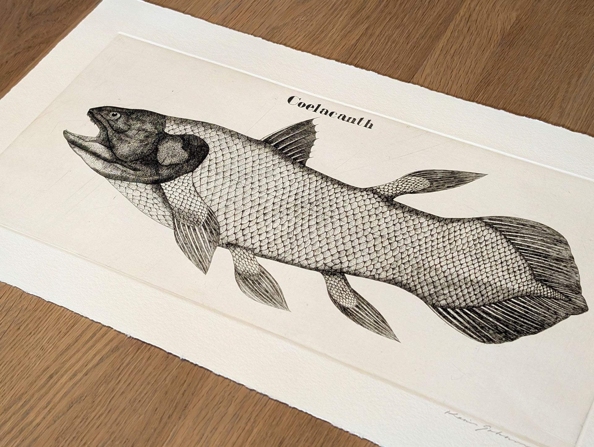 Koichi Sakamoto - シーラカンス (Coelacanth)