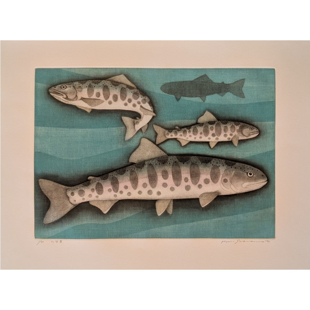 Koichi Sakamoto - 山女実 (Yamame Trout)