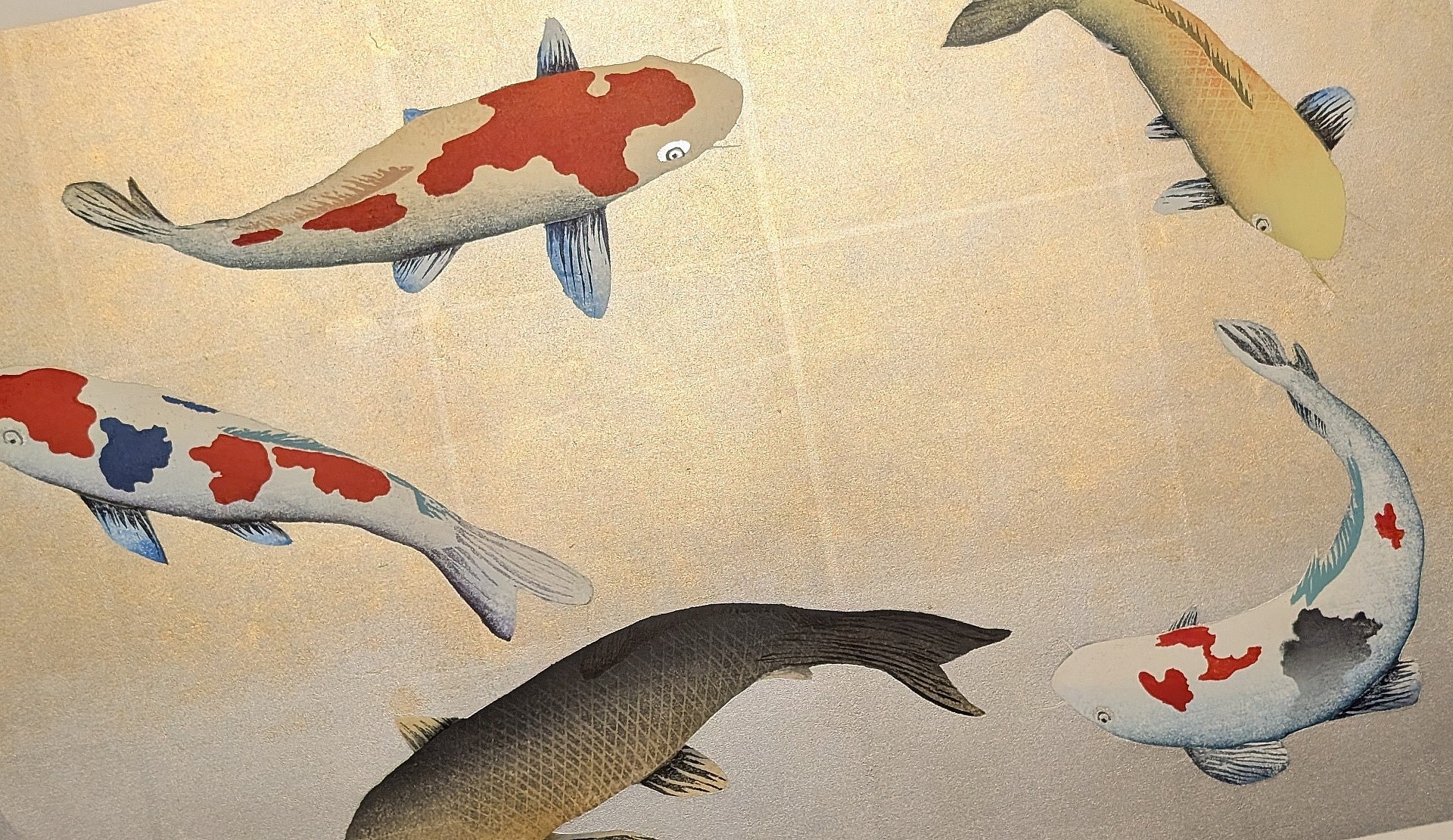 Kunio Kaneko - Birthday