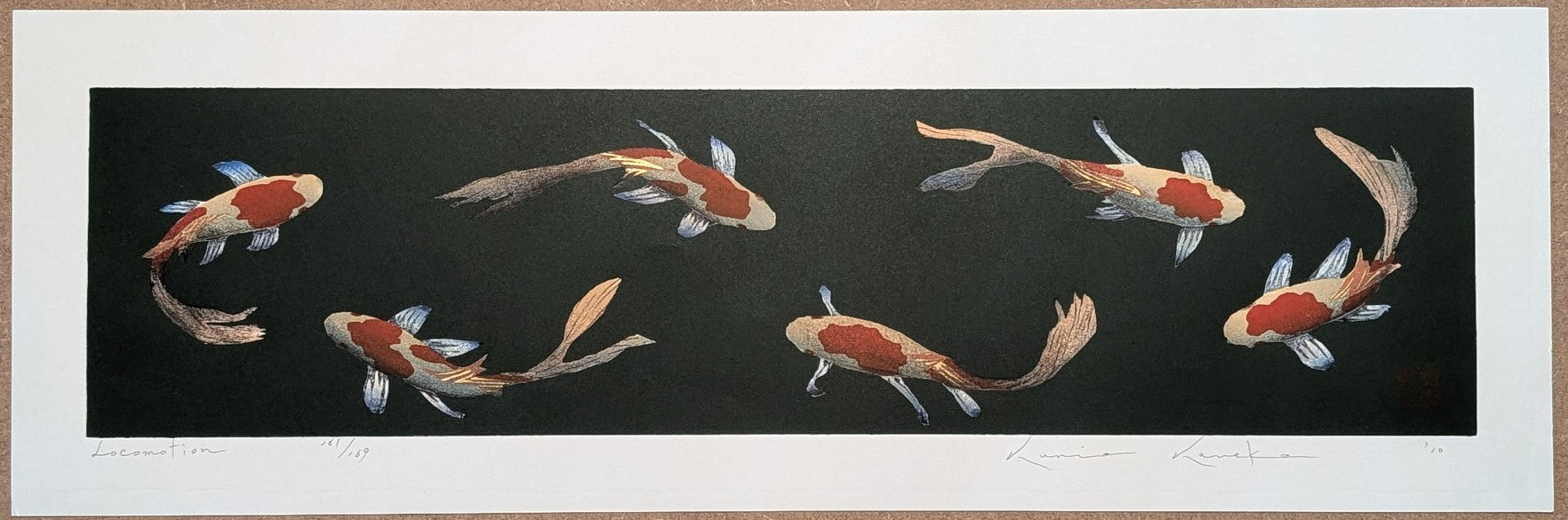 Kunio Kaneko - Locomotion